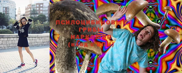 марихуана Абаза