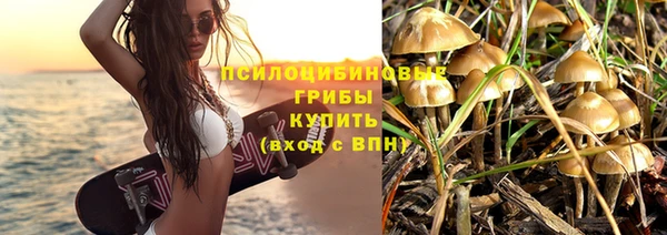 твердый Алексеевка