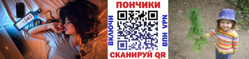 Шишки марихуана марихуана  наркошоп  Тарко-Сале 